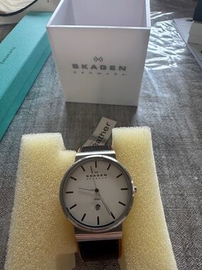 Skagen Silver Dial Brown Leather Strap Watch